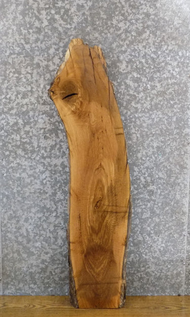 Salvaged Live Edge White Oak Accent/Side Table Top Slab 559